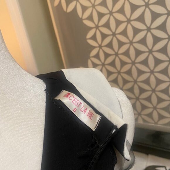 Black Sleeveless Top with Collar - Picture 7 of 7